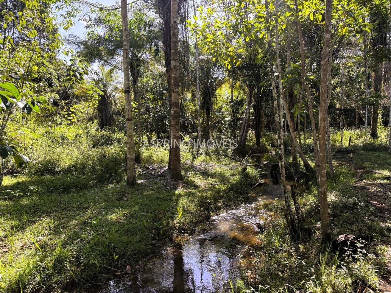 Chácara, 4 quartos, 4 hectares - Foto 49