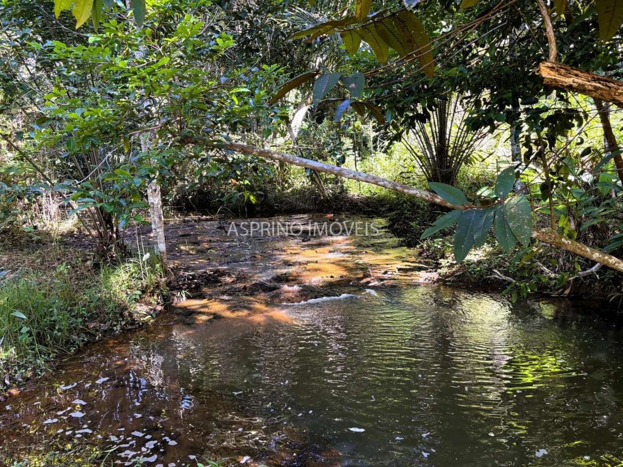 Chácara, 4 quartos, 4 hectares - Foto 45