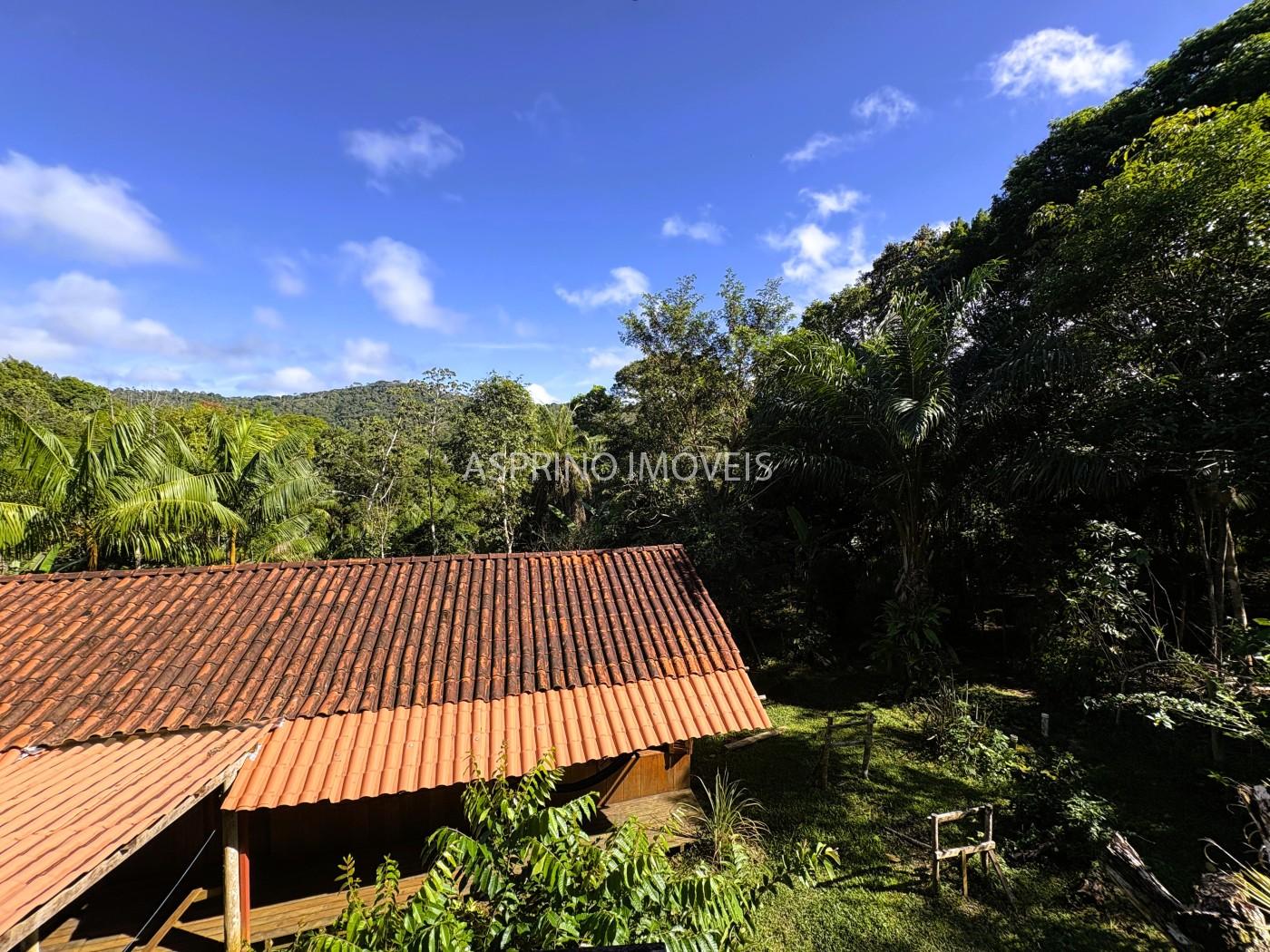 Chácara, 4 quartos, 4 hectares - Foto 27