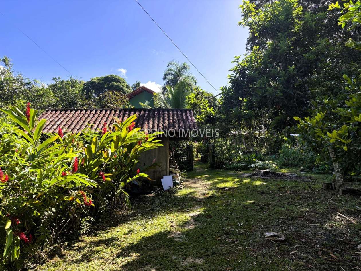 Chácara, 4 quartos, 4 hectares - Foto 29