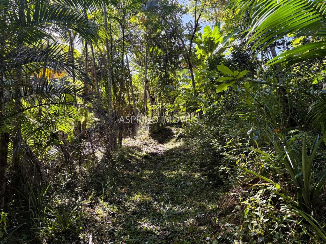 Chácara, 4 quartos, 4 hectares - Foto 41