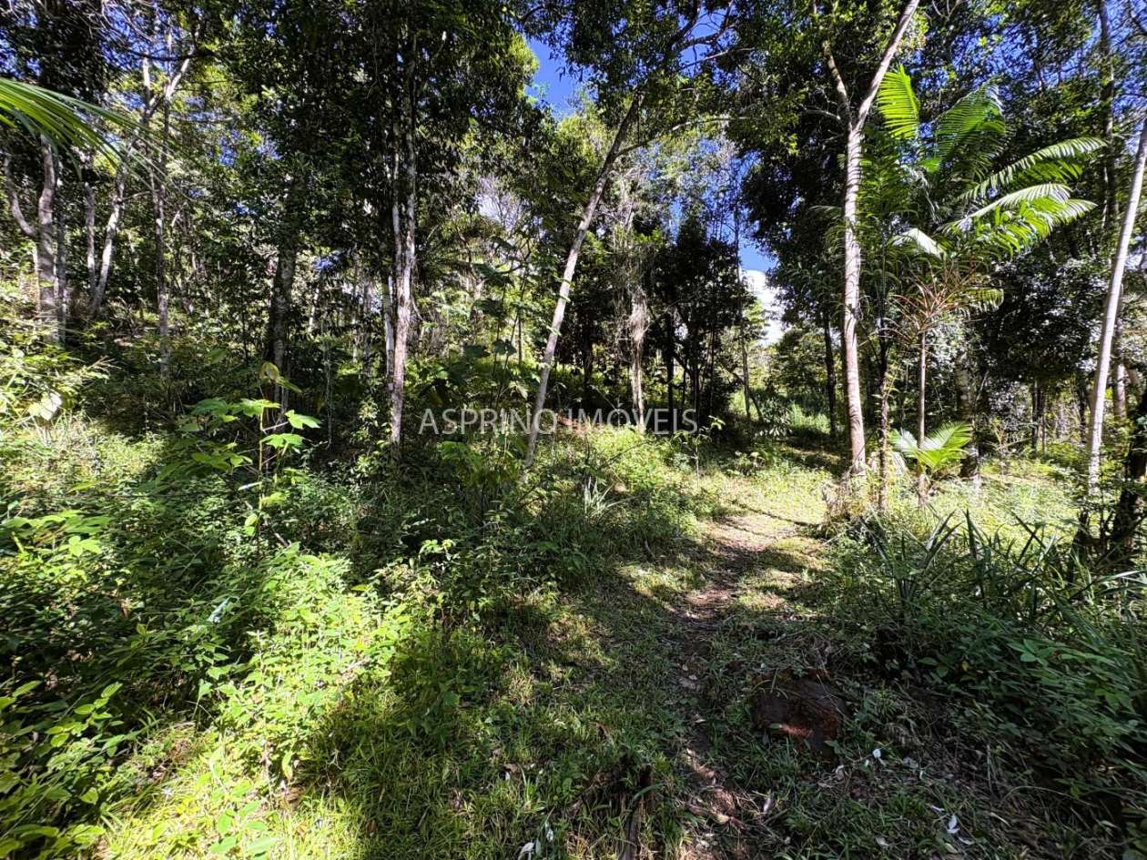 Chácara, 4 quartos, 4 hectares - Foto 43