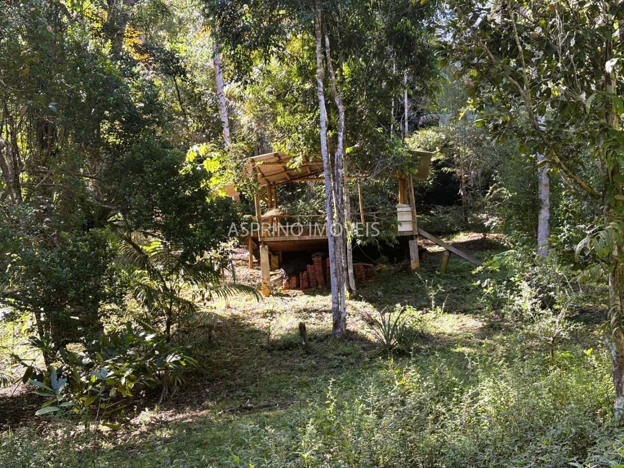 Chácara, 4 quartos, 4 hectares - Foto 44
