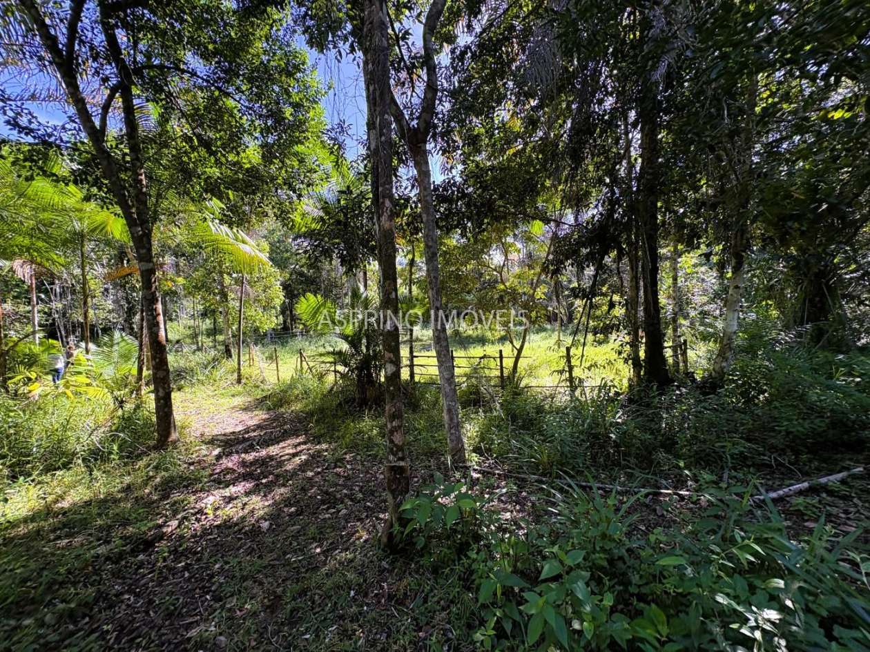 Chácara, 4 quartos, 4 hectares - Foto 42
