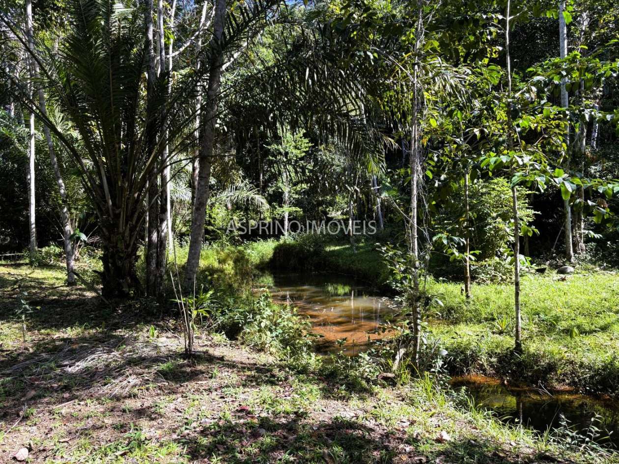Chácara, 4 quartos, 4 hectares - Foto 46
