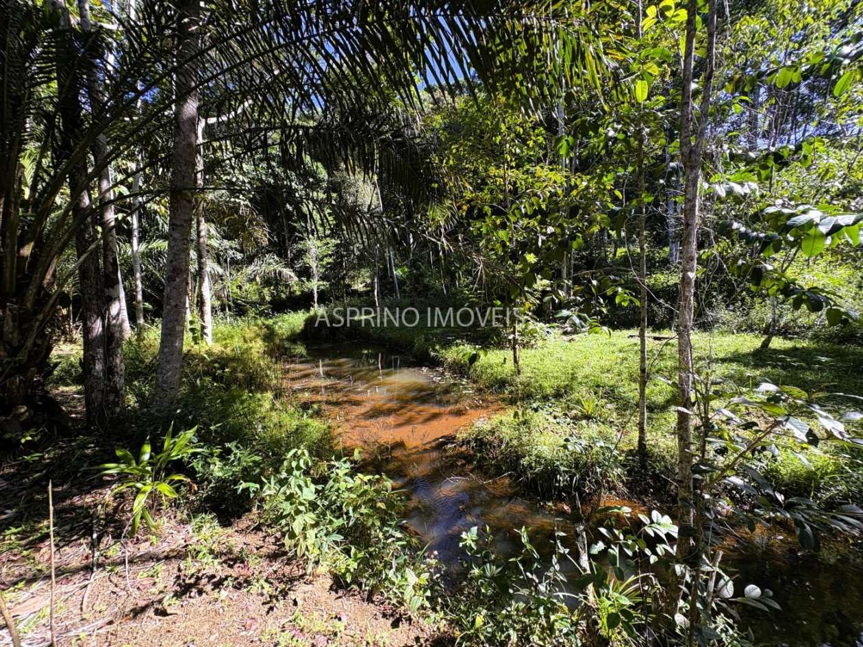 Chácara, 4 quartos, 4 hectares - Foto 47