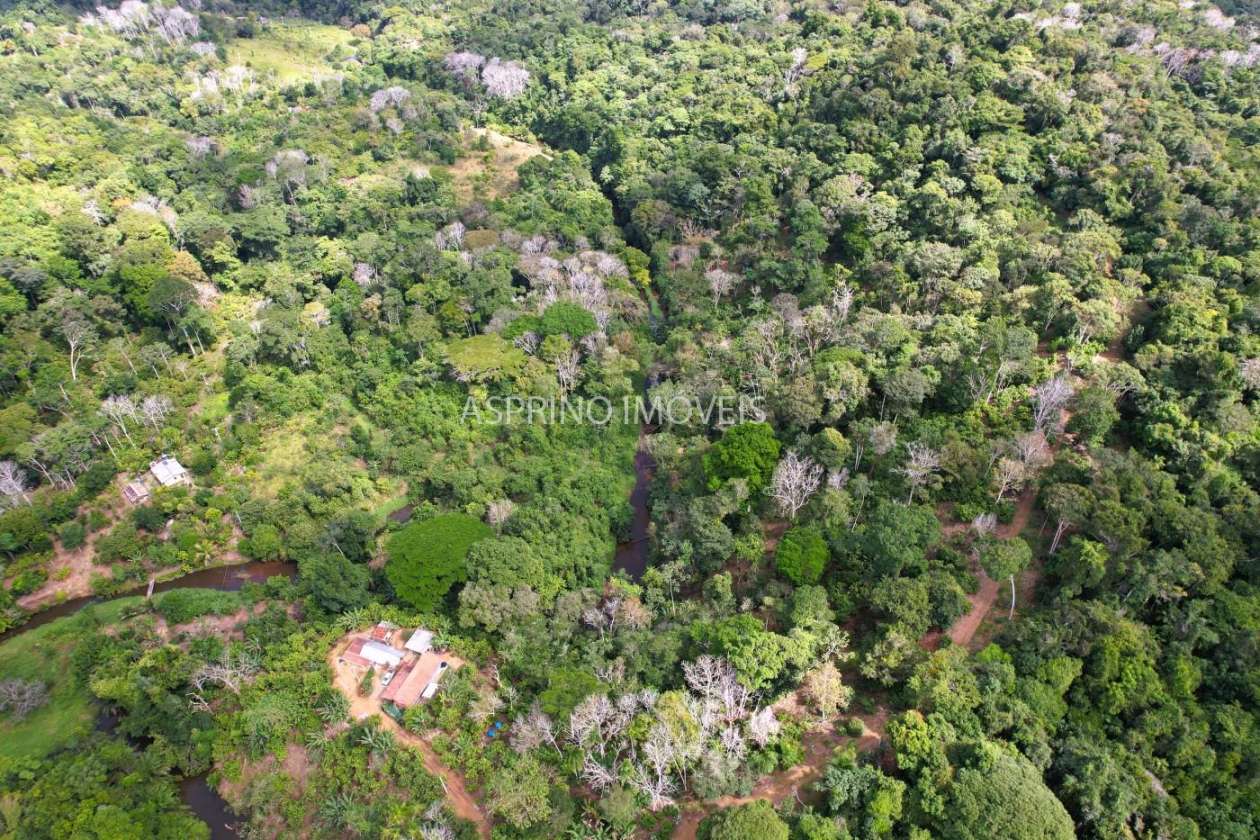 Chácara, 3 quartos, 10 hectares - Foto 10