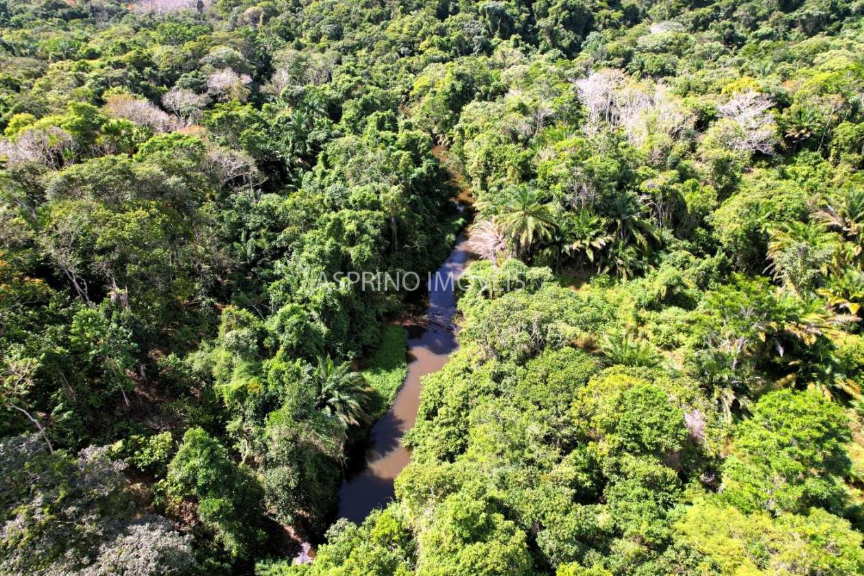 Chácara, 3 quartos, 10 hectares - Foto 6