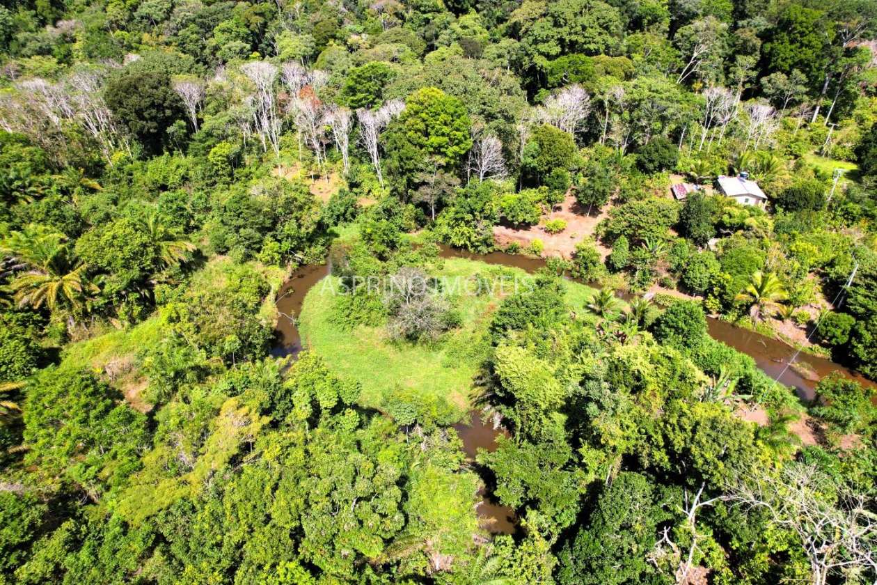 Chácara, 3 quartos, 10 hectares - Foto 7