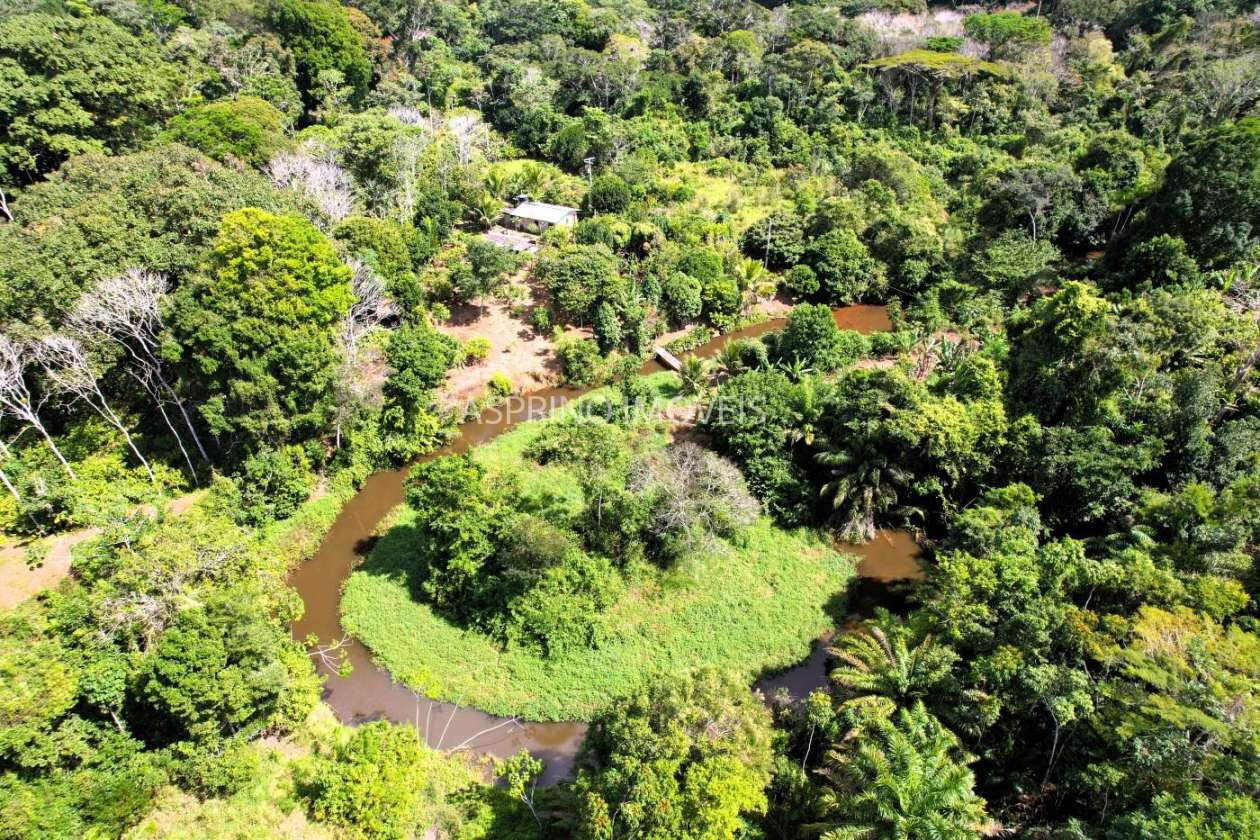 Chácara, 3 quartos, 10 hectares - Foto 8