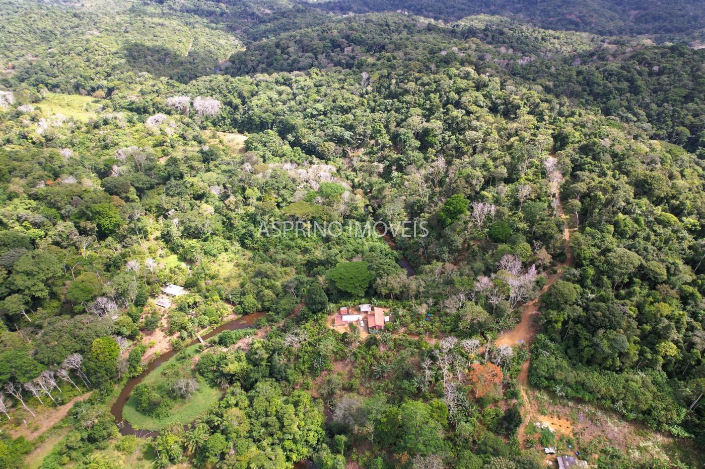 Chácara, 3 quartos, 10 hectares - Foto 4