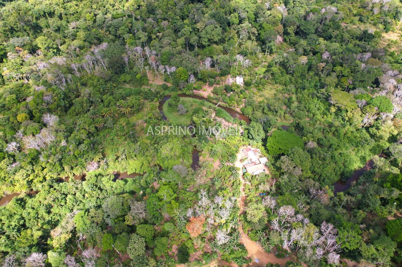 Chácara, 3 quartos, 10 hectares - Foto 9