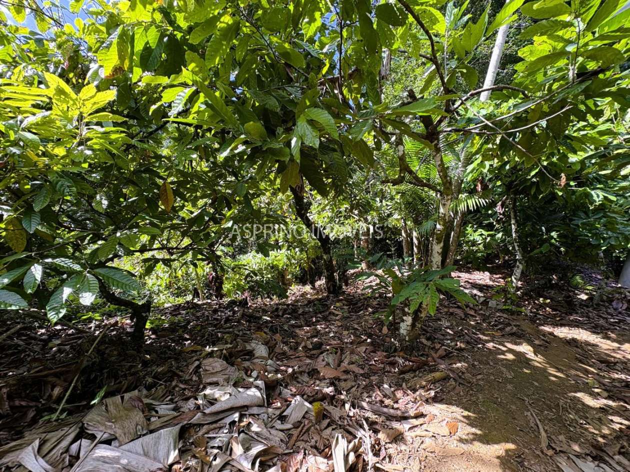 Chácara, 3 quartos, 10 hectares - Foto 16