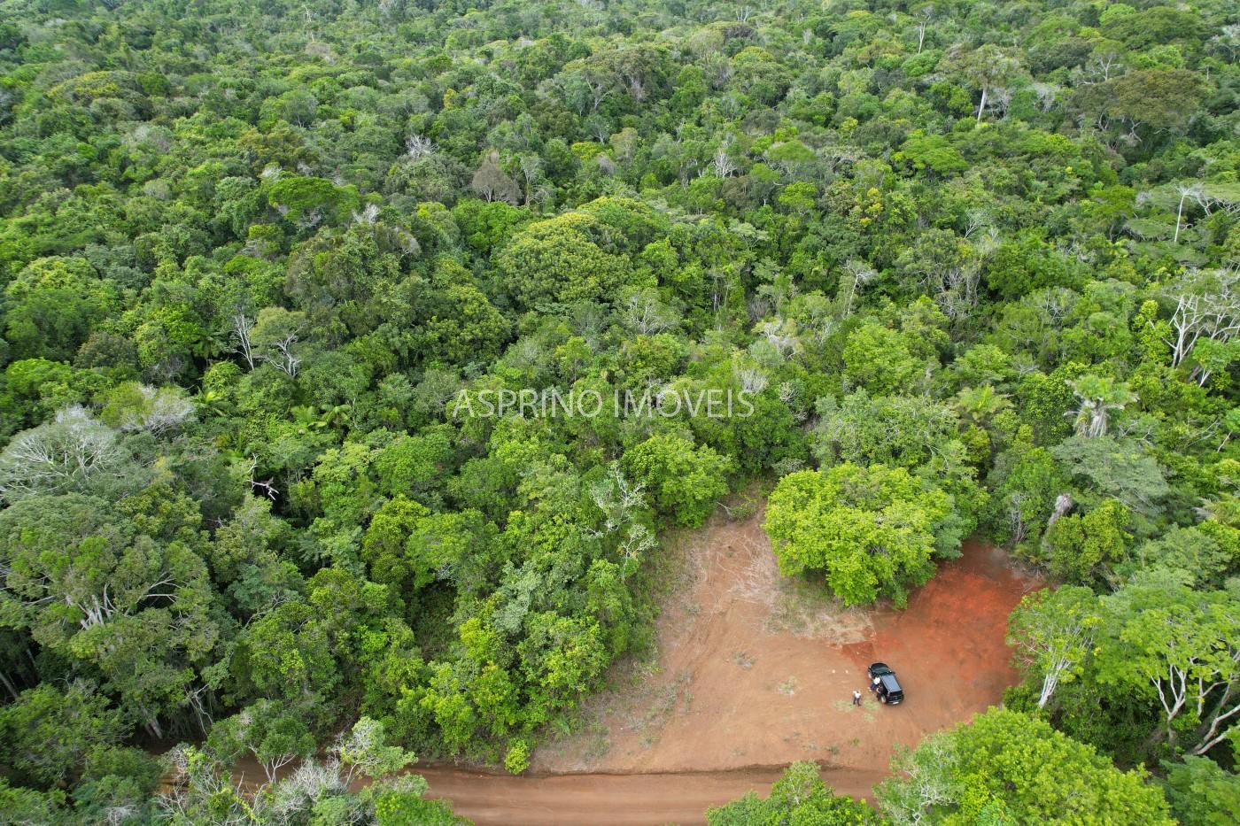 Terreno, 9 hectares - Foto 1