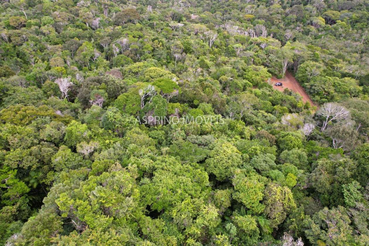 Terreno, 9 hectares - Foto 7