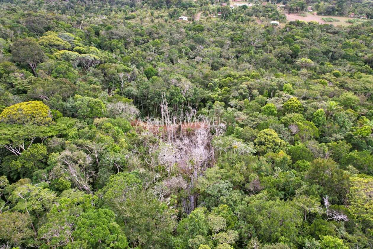 Terreno, 9 hectares - Foto 3