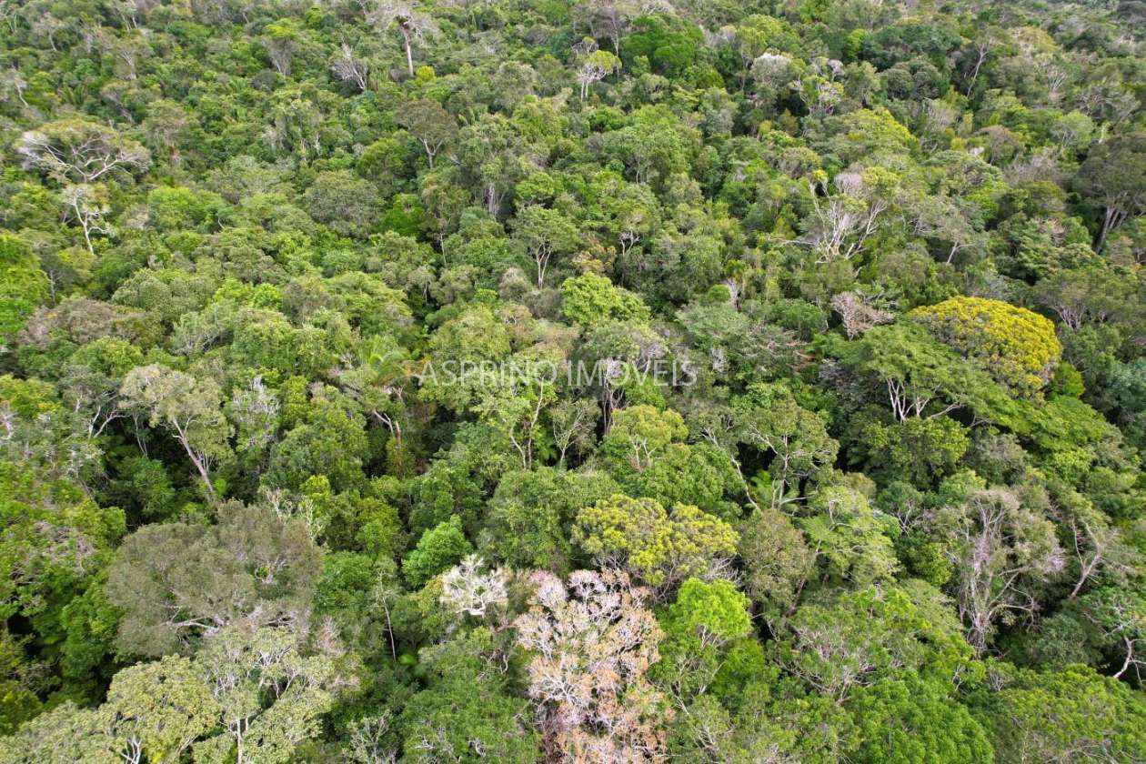Terreno, 9 hectares - Foto 6