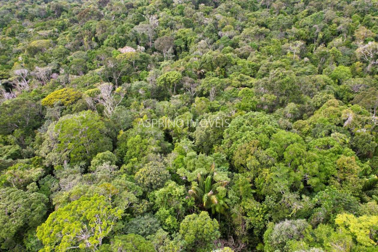 Terreno, 9 hectares - Foto 8