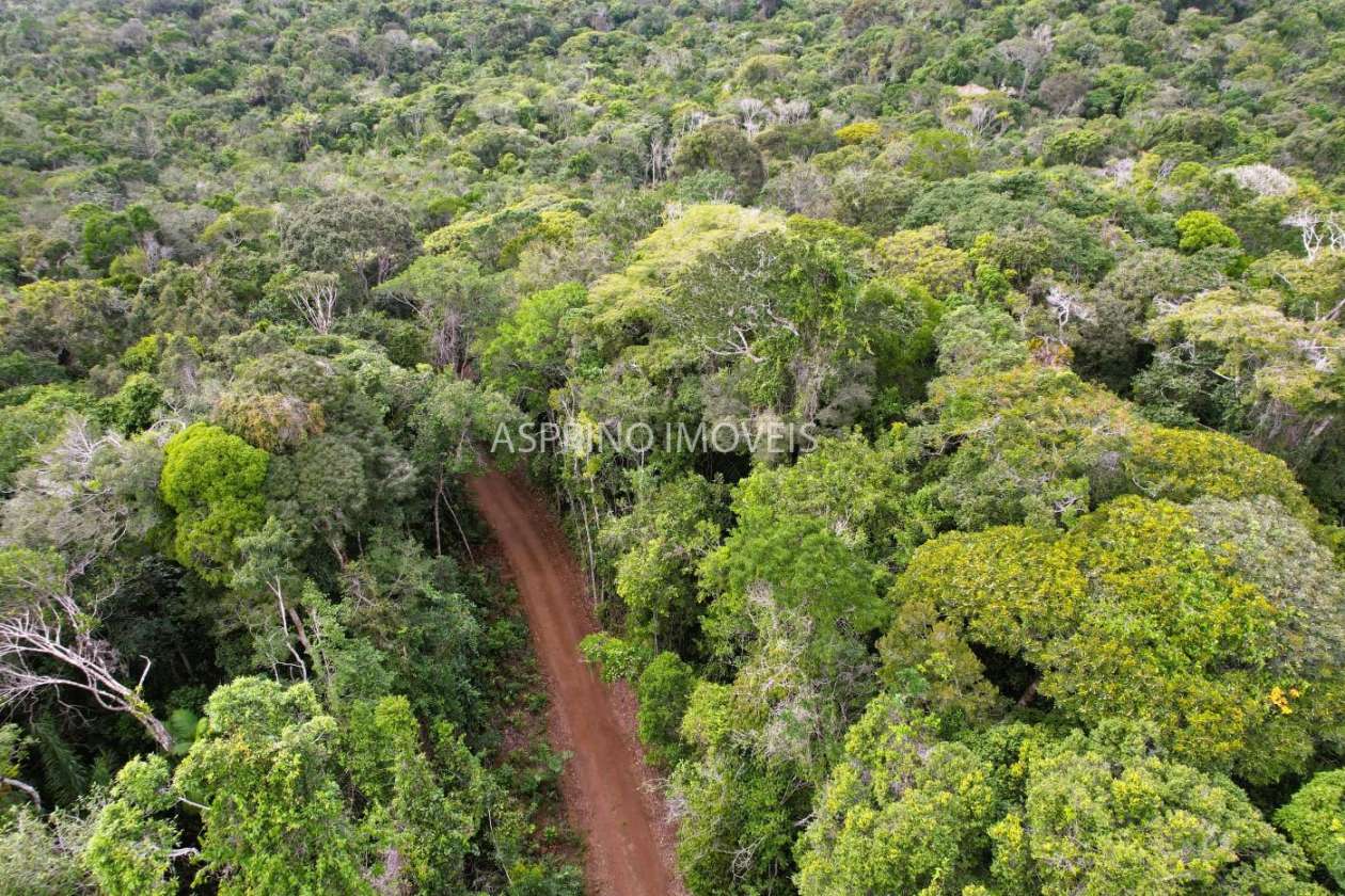 Terreno, 9 hectares - Foto 10