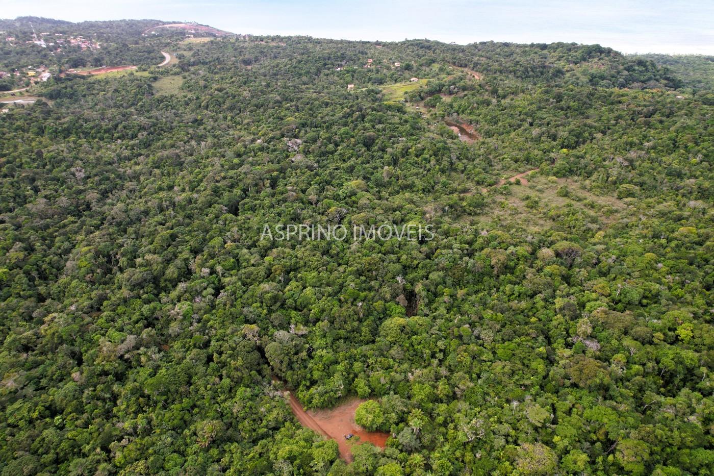 Terreno, 9 hectares - Foto 11