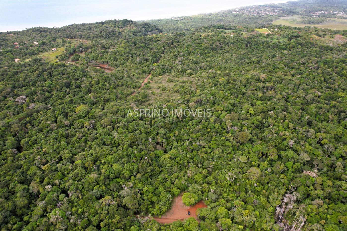 Terreno, 9 hectares - Foto 12