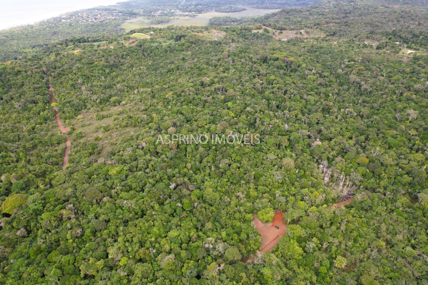 Terreno, 9 hectares - Foto 13