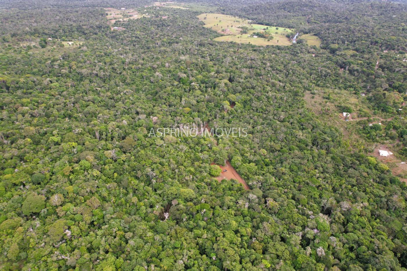 Terreno, 9 hectares - Foto 14