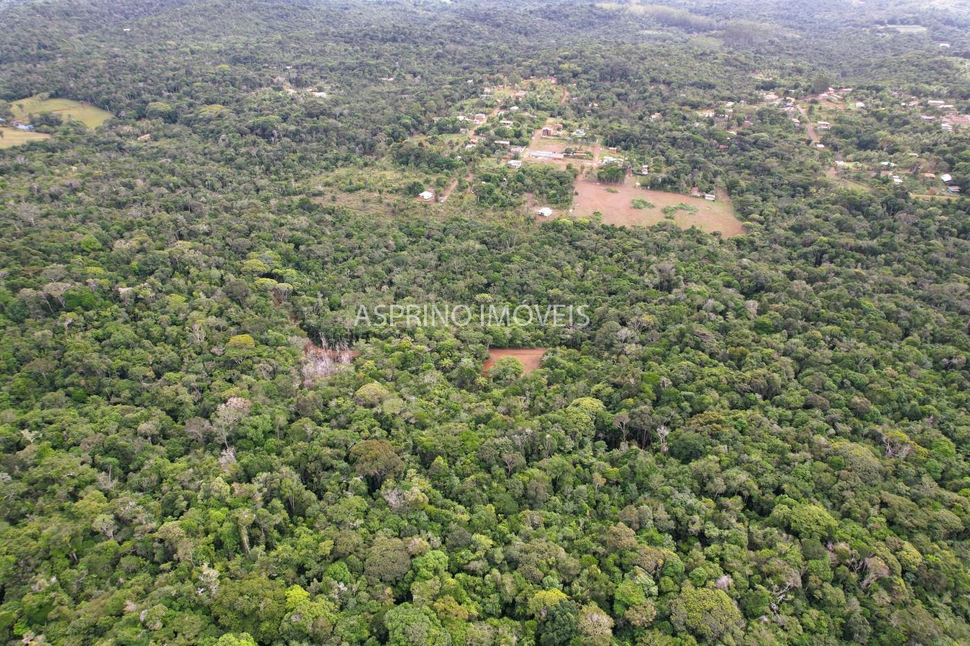 Terreno, 9 hectares - Foto 15