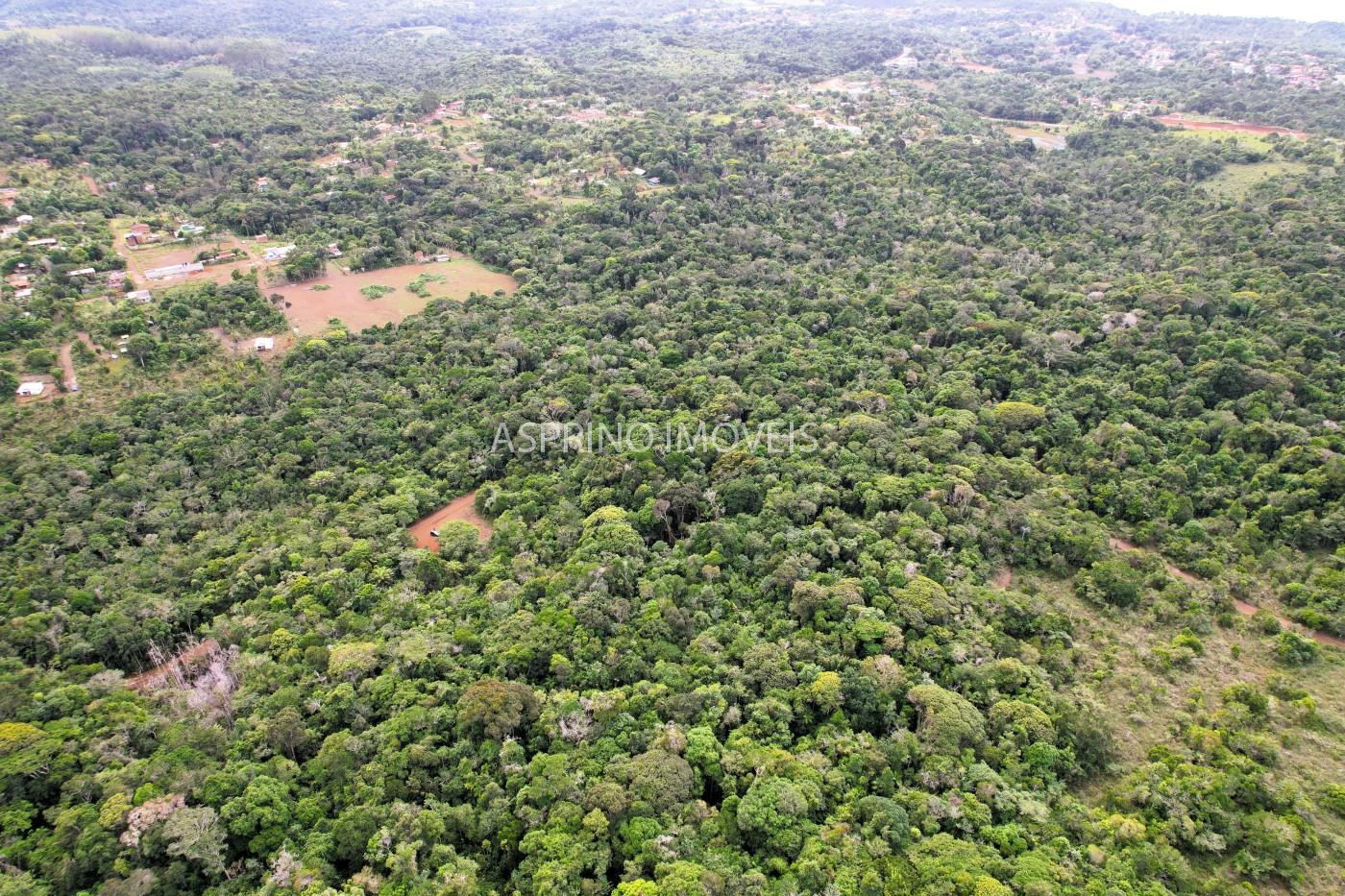 Terreno, 9 hectares - Foto 16