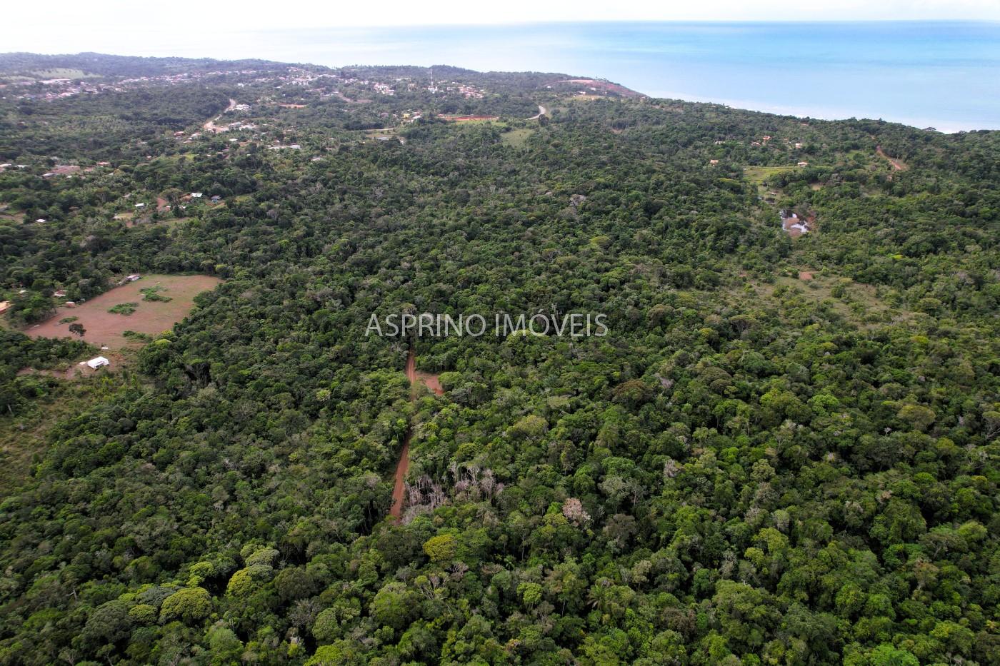 Terreno, 9 hectares - Foto 17