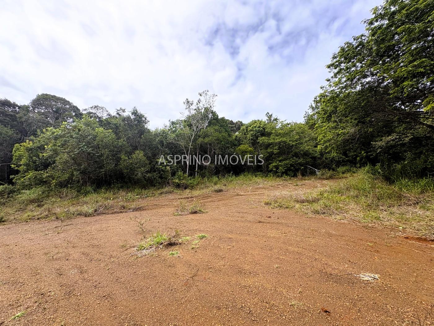 Terreno, 9 hectares - Foto 19