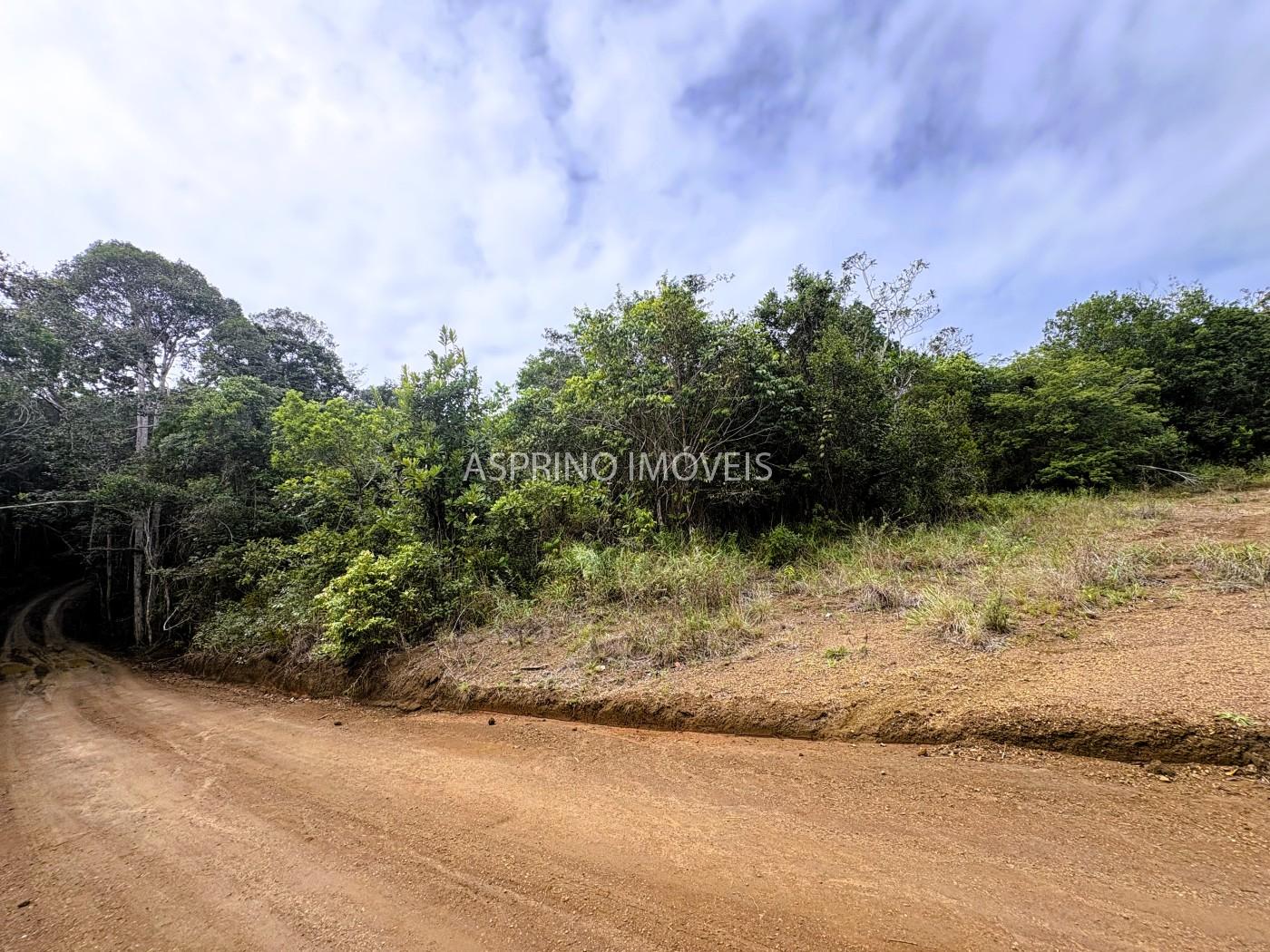Terreno, 9 hectares - Foto 18