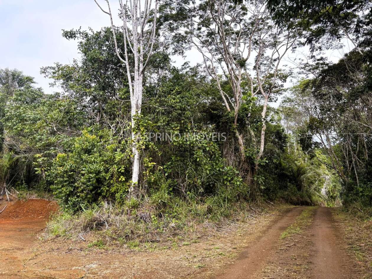 Terreno, 9 hectares - Foto 20