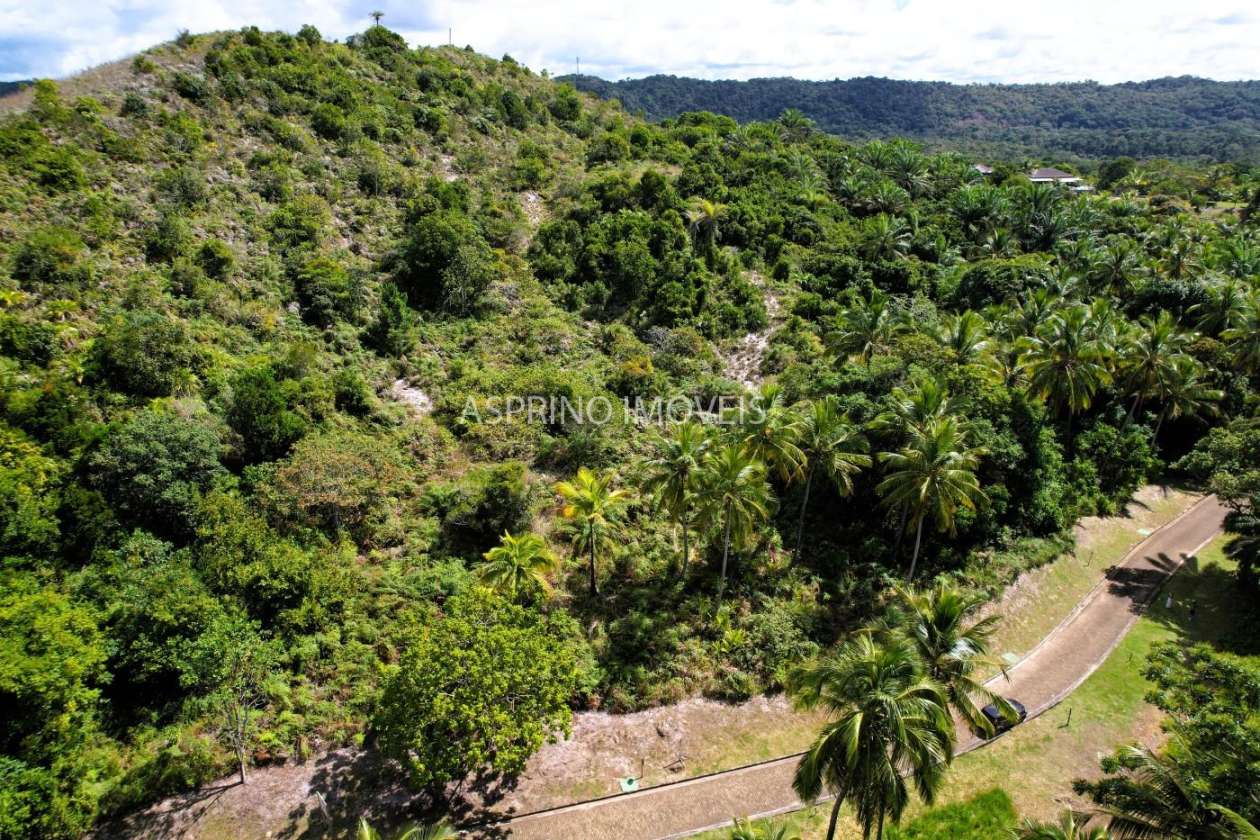 Terreno, 4374 m² - Foto 3