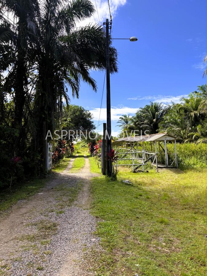 Casa, 4 quartos, 7975 m² - Foto 7