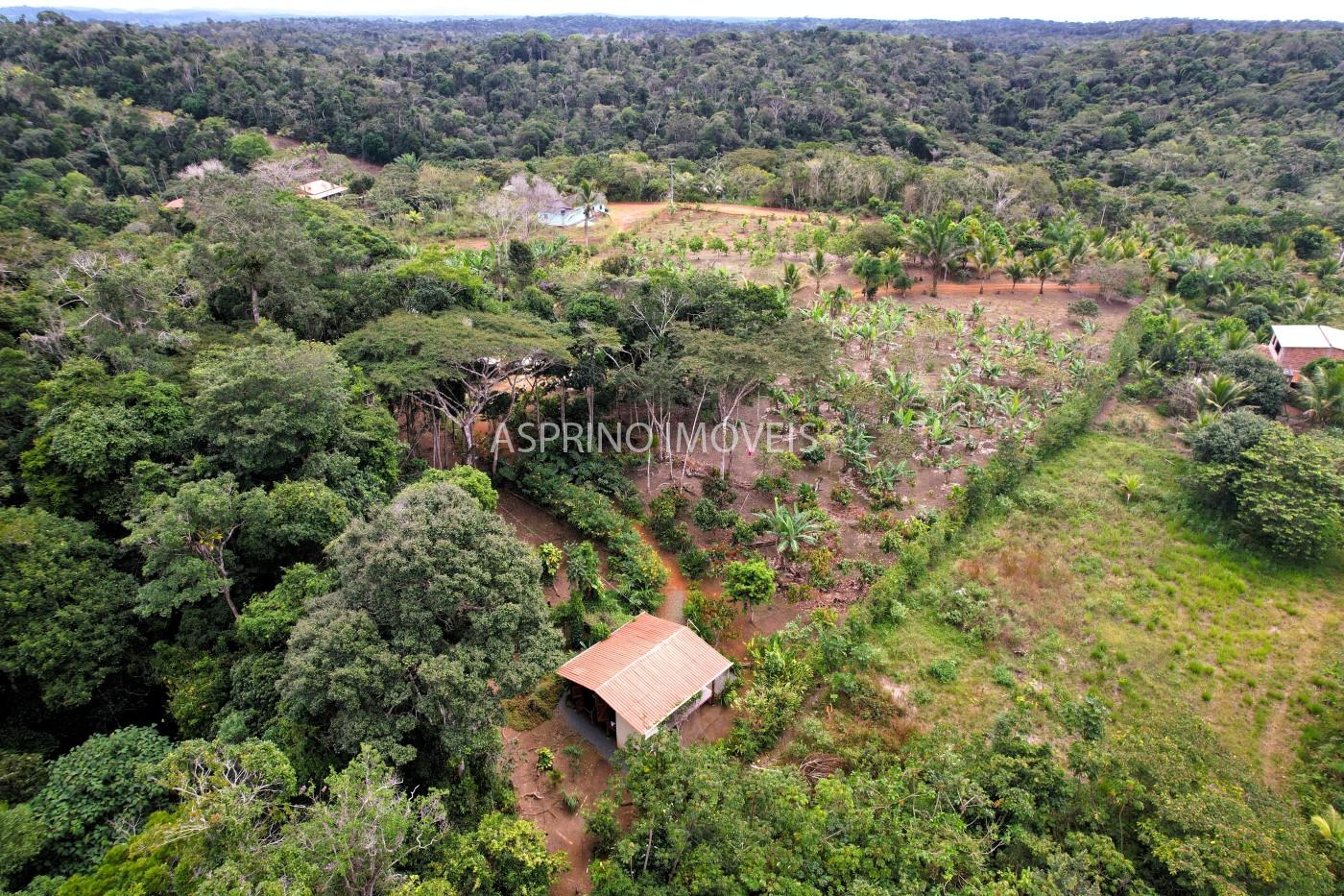 Sítio, 3 quartos, 6 hectares - Foto 1