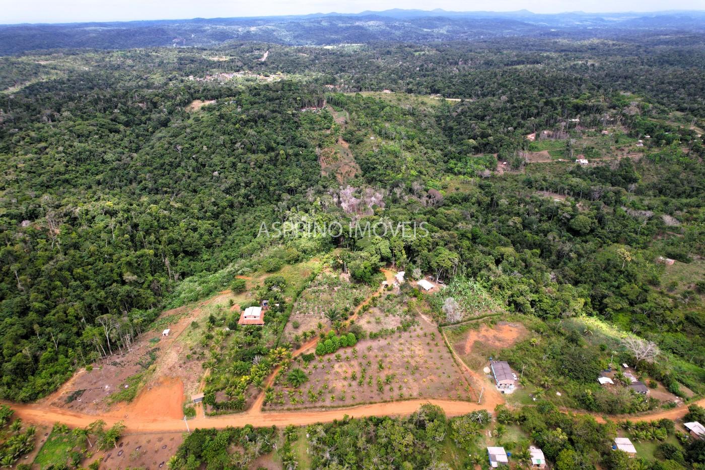 Sítio, 3 quartos, 6 hectares - Foto 6