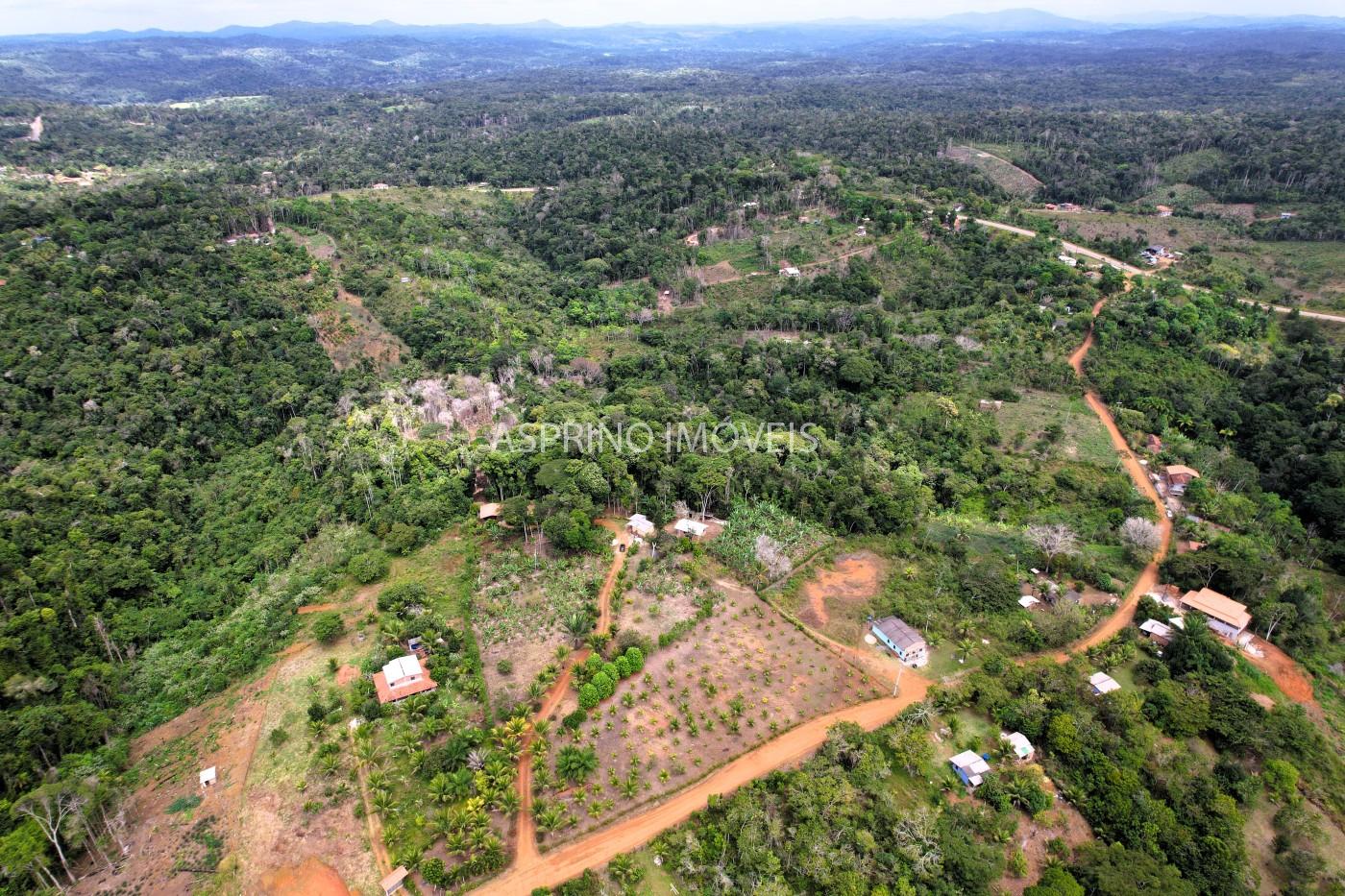 Sítio, 3 quartos, 6 hectares - Foto 7