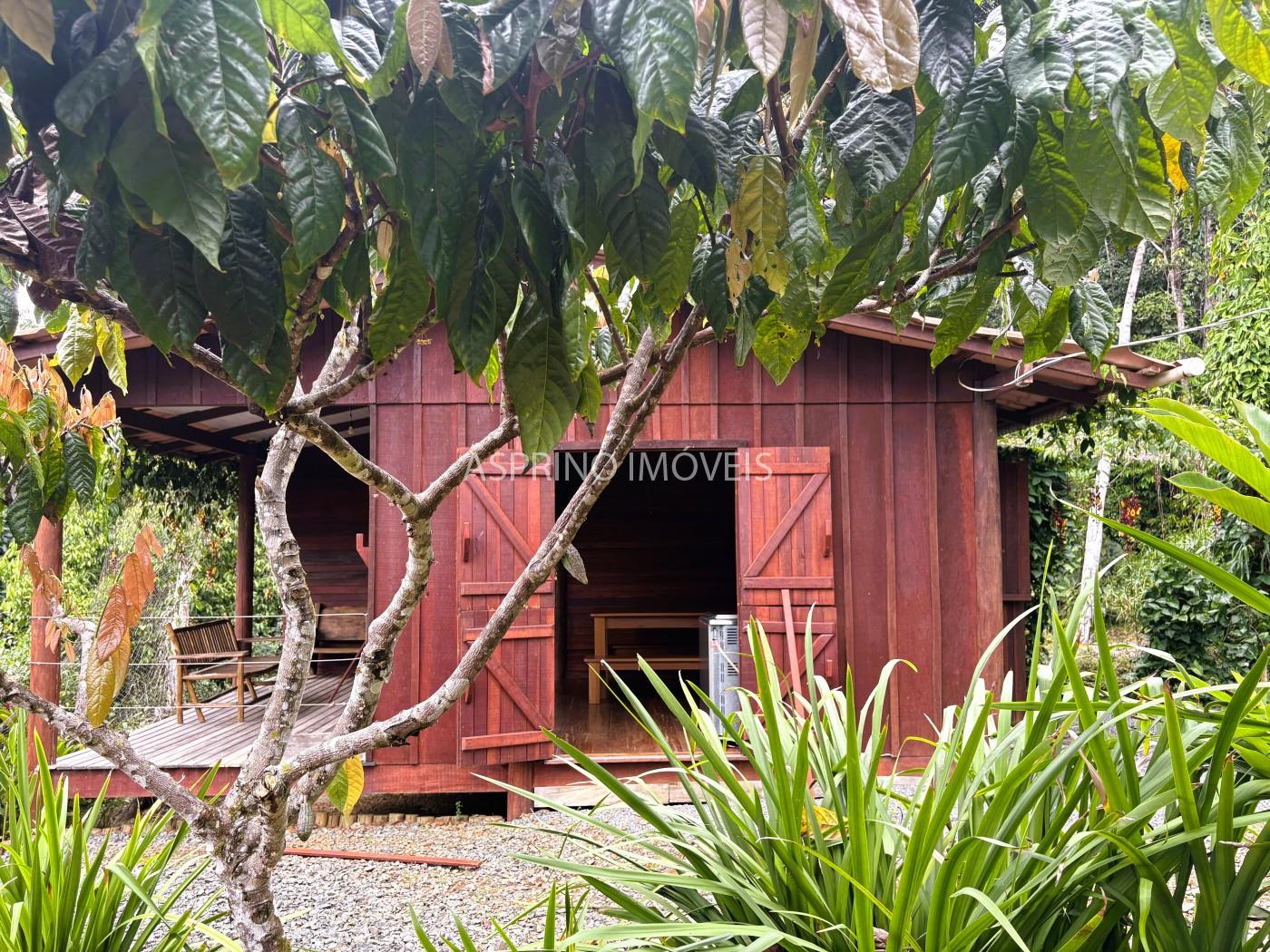 Sítio, 3 quartos, 6 hectares - Foto 8