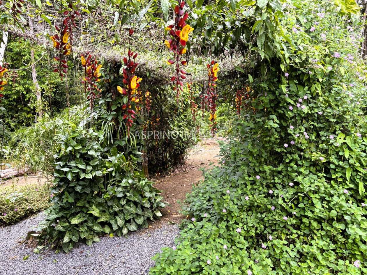 Sítio, 3 quartos, 6 hectares - Foto 13