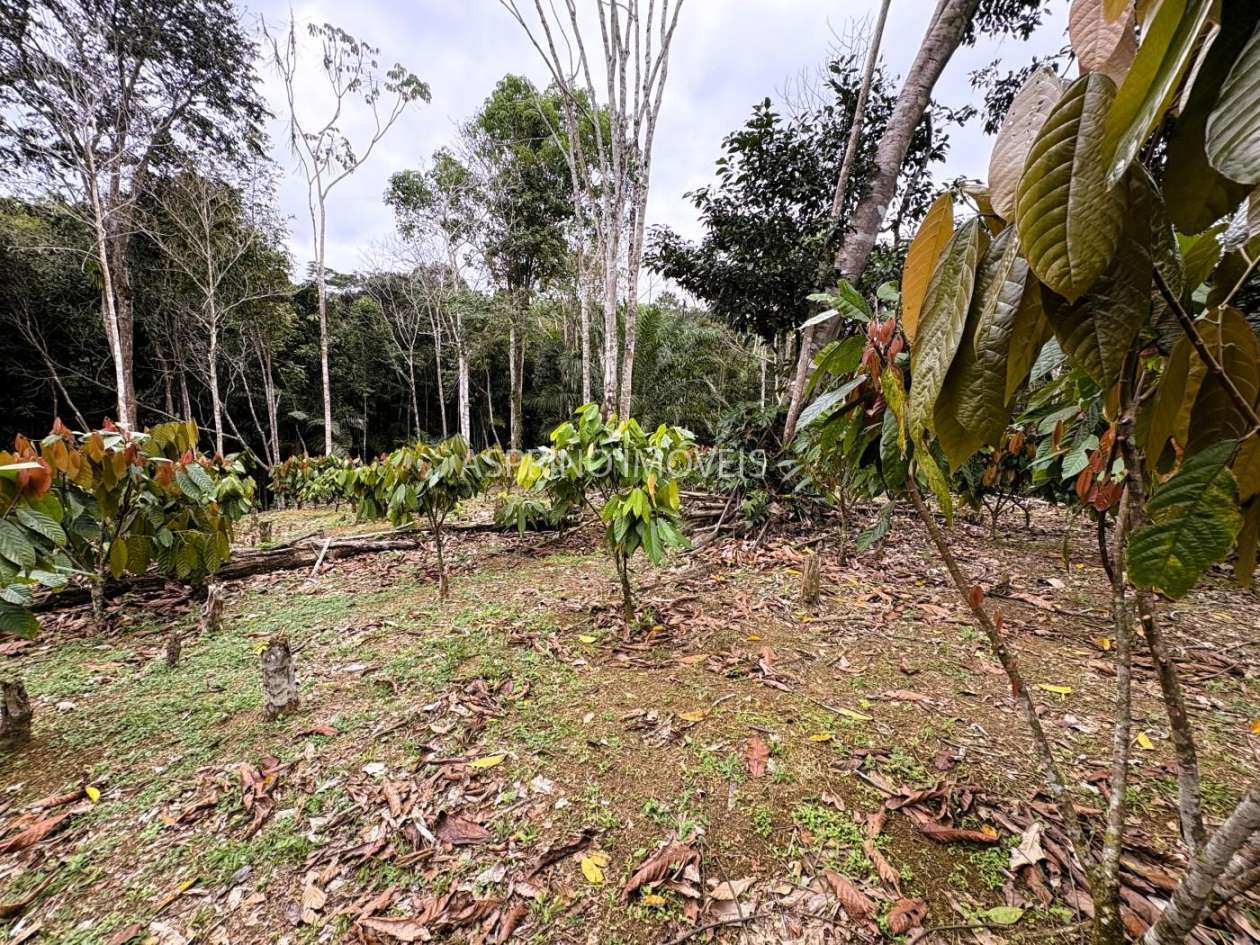 Sítio, 3 quartos, 6 hectares - Foto 33