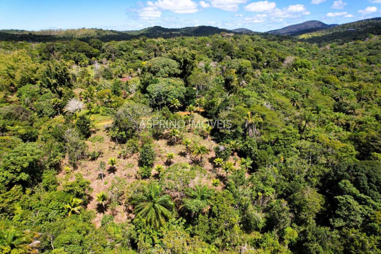 Terreno, 2 hectares - Foto 3