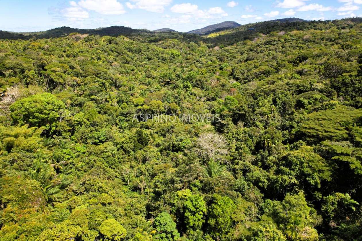 Terreno, 2 hectares - Foto 4