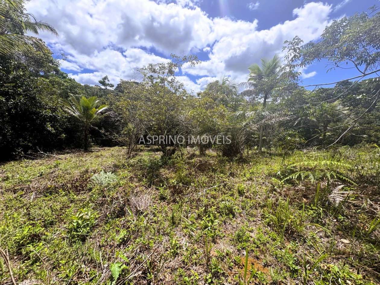 Terreno, 2 hectares - Foto 8