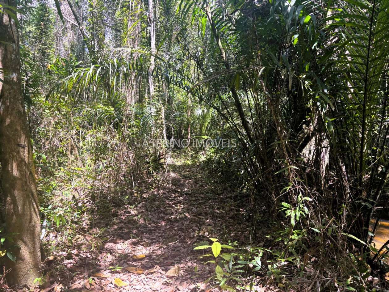 Terreno, 2 hectares - Foto 11