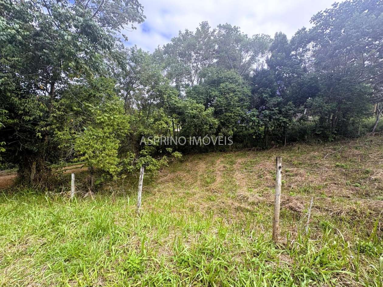 Terreno, 454 m² - Foto 5