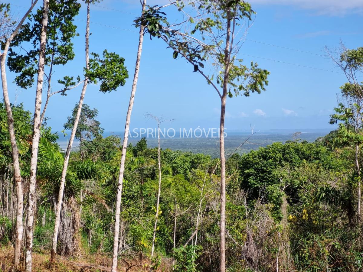 Terreno, 3 hectares - Foto 17
