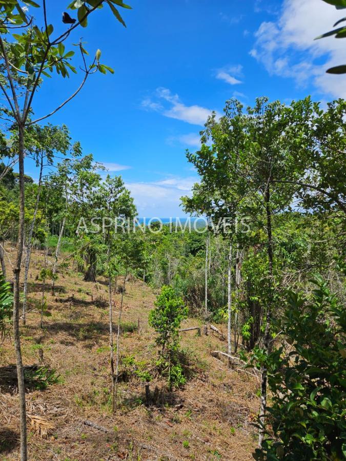 Terreno, 3 hectares - Foto 18