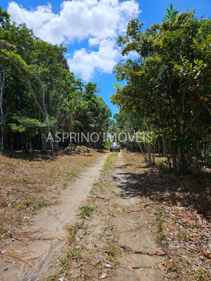 Terreno, 3 hectares - Foto 16