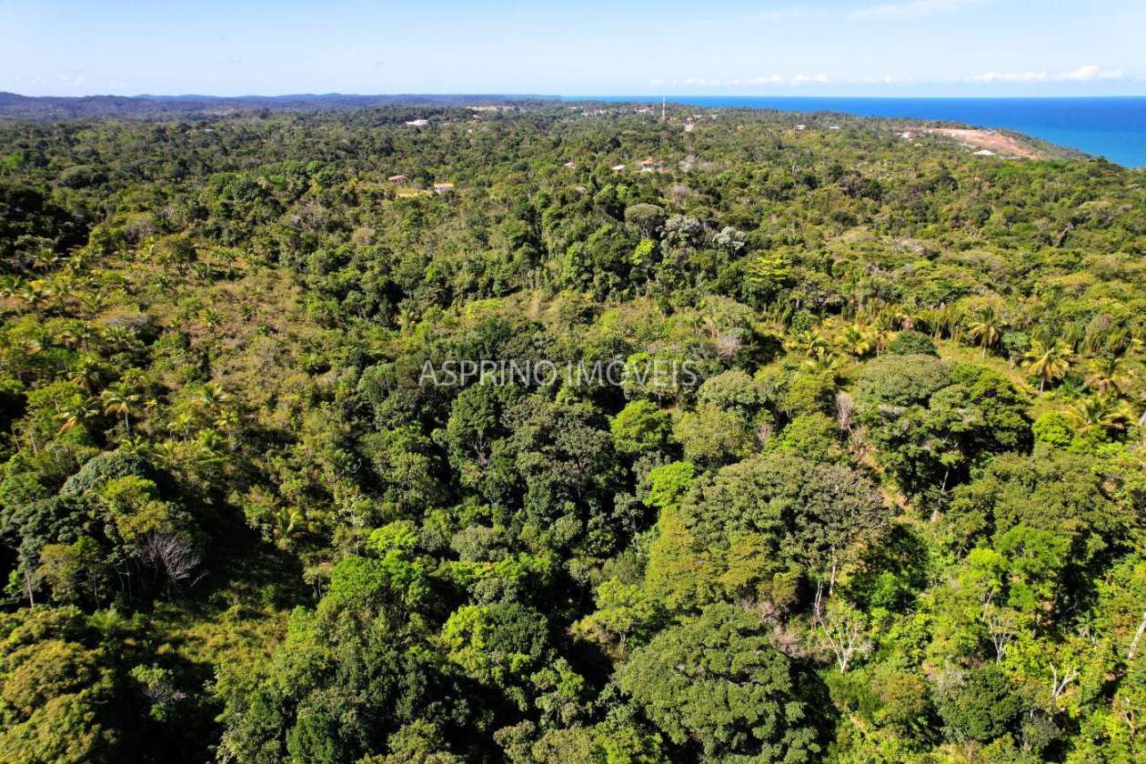 Terreno, 3 hectares - Foto 10